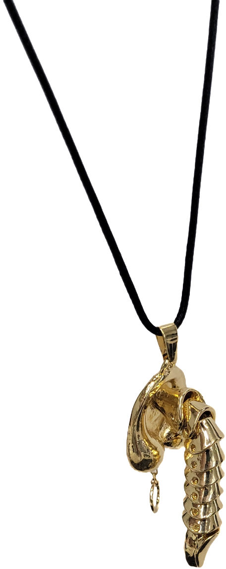 Cock pendent | Chrome | Leather chain