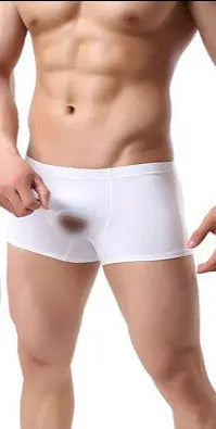 Come Closer Erection Briefs | Ice Silk | White | Pouch megan