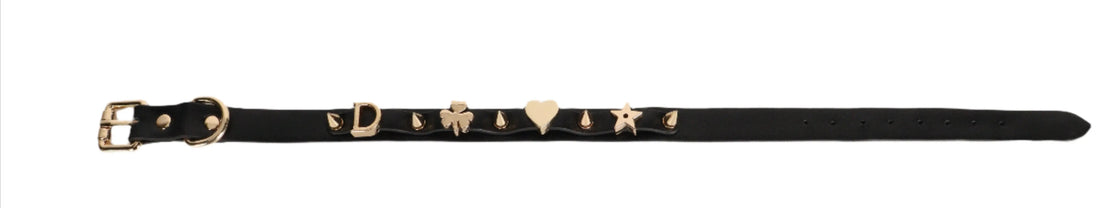 Neck Collar With Gold Spikes | Adjustable | Fetish | Bondage Being Fetish