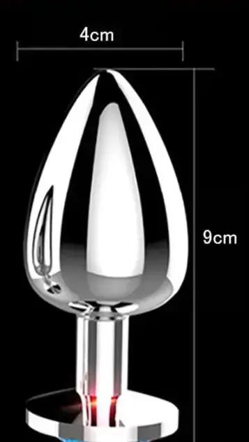 Silver Butt Plug Purple Large My Sex Shop