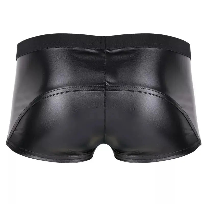Come Closer Sexy Briefs |  Faux Leather | Double Zipper |  Stretch megan