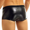 Come Closer Sexy Briefs |  Faux Leather | Double Zipper |  Stretch megan