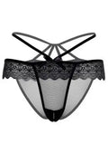 Daring Taylor  | Crotchless | Embroidery | 4 Way Stretch