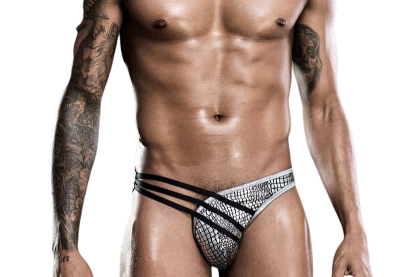 Male Power Silver Exotic  | Briefs | One Size