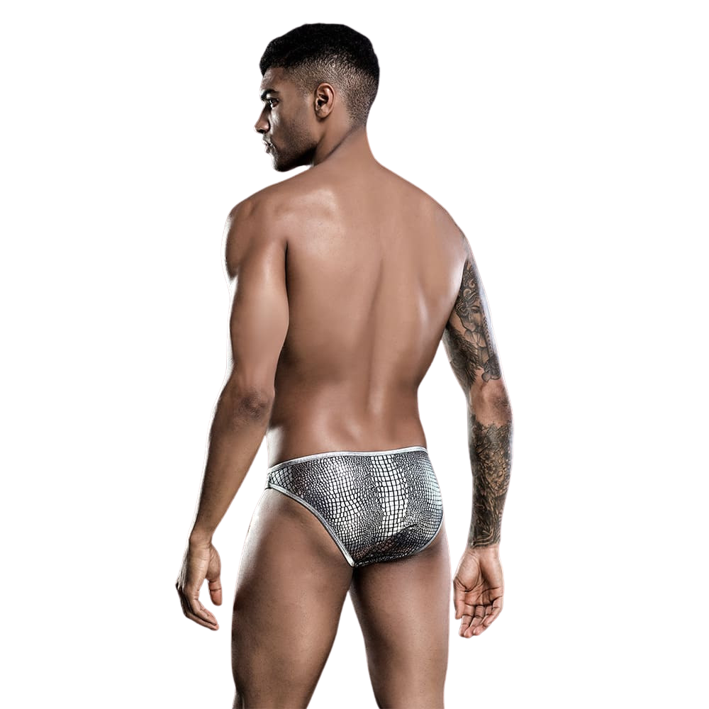 Male Power Silver Exotic  | Briefs | One Size