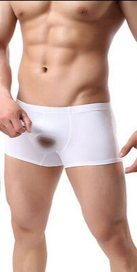 Come Closer Erection Briefs | Ice Silk | White | Pouch